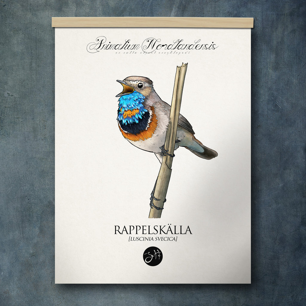 Rappelskälla