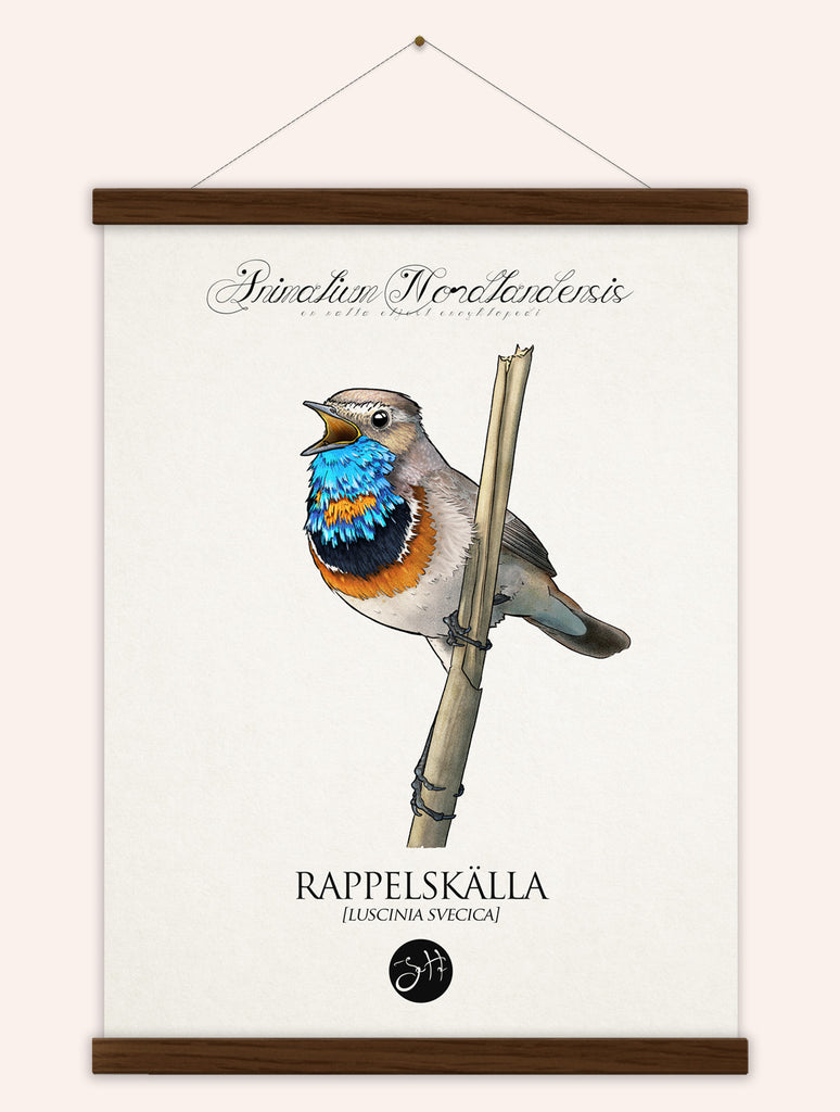 Rappelskälla