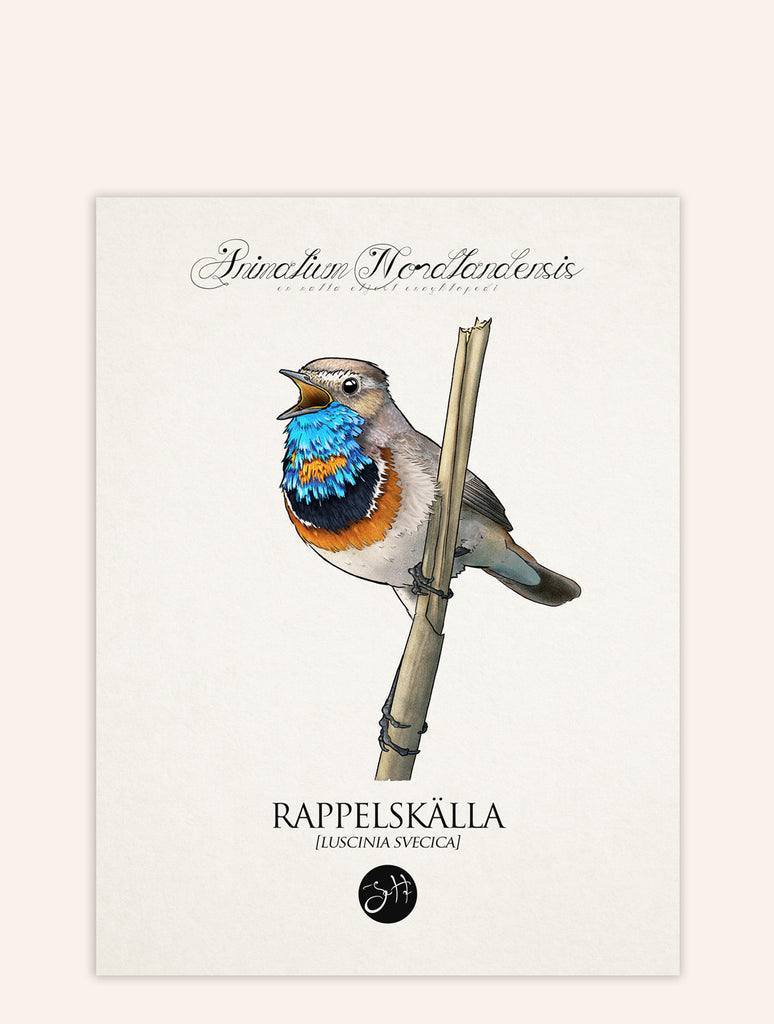 Rappelskälla