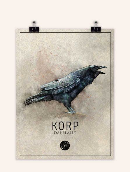 Korp