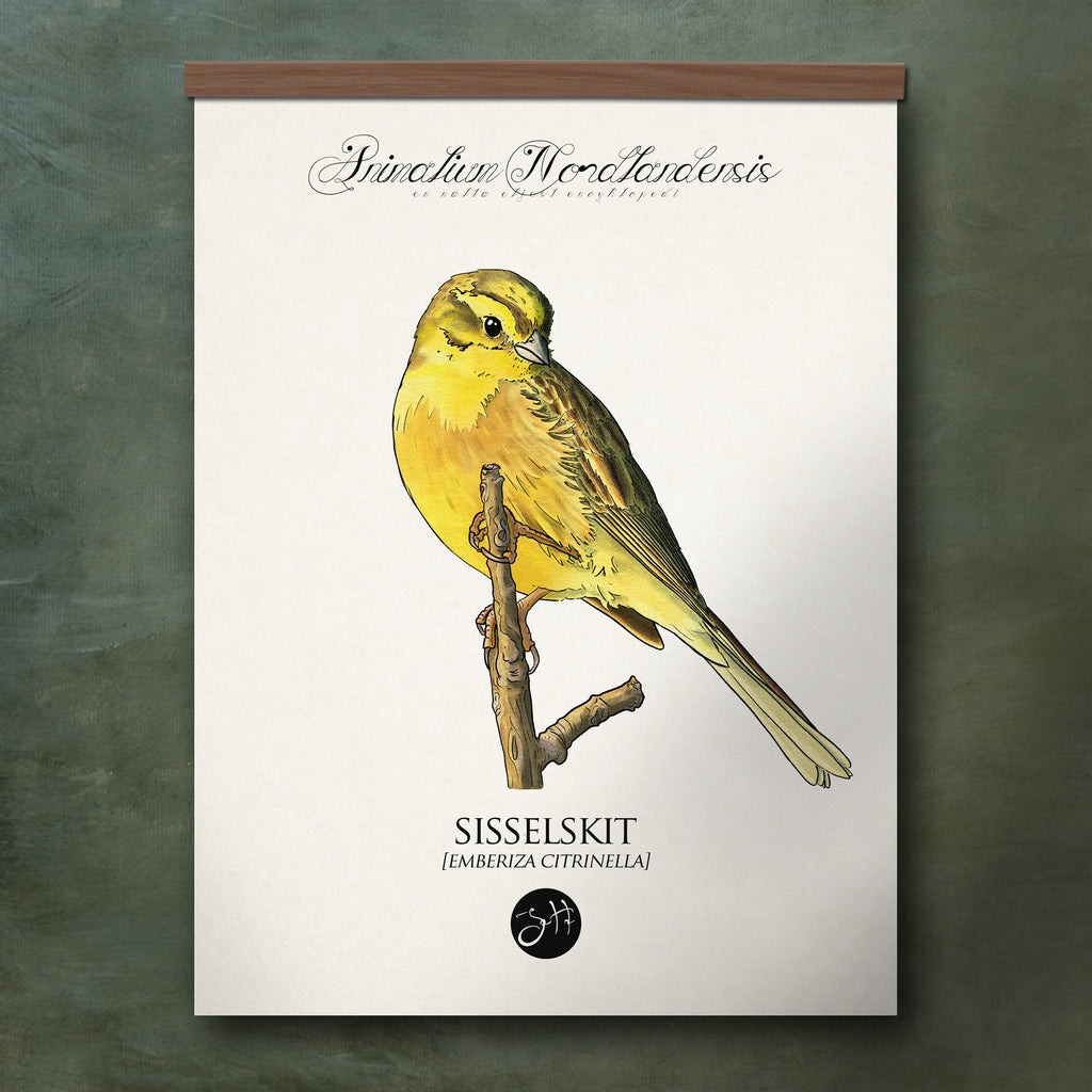 Sisselskit