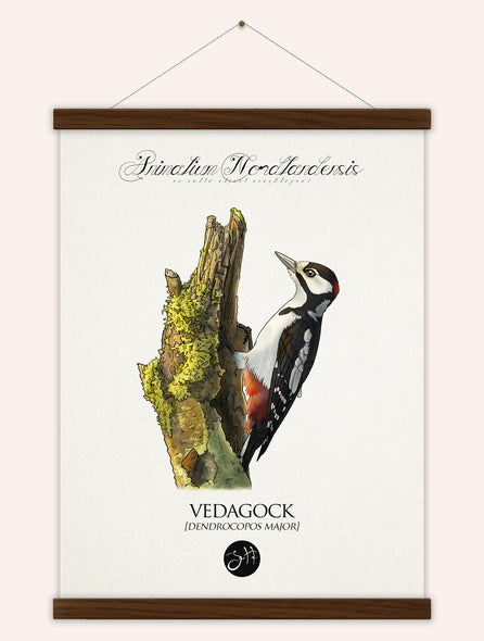 Vedagock