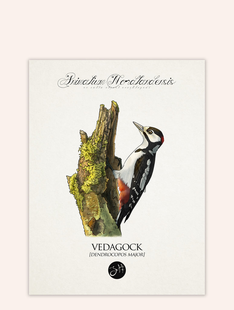 Vedagock
