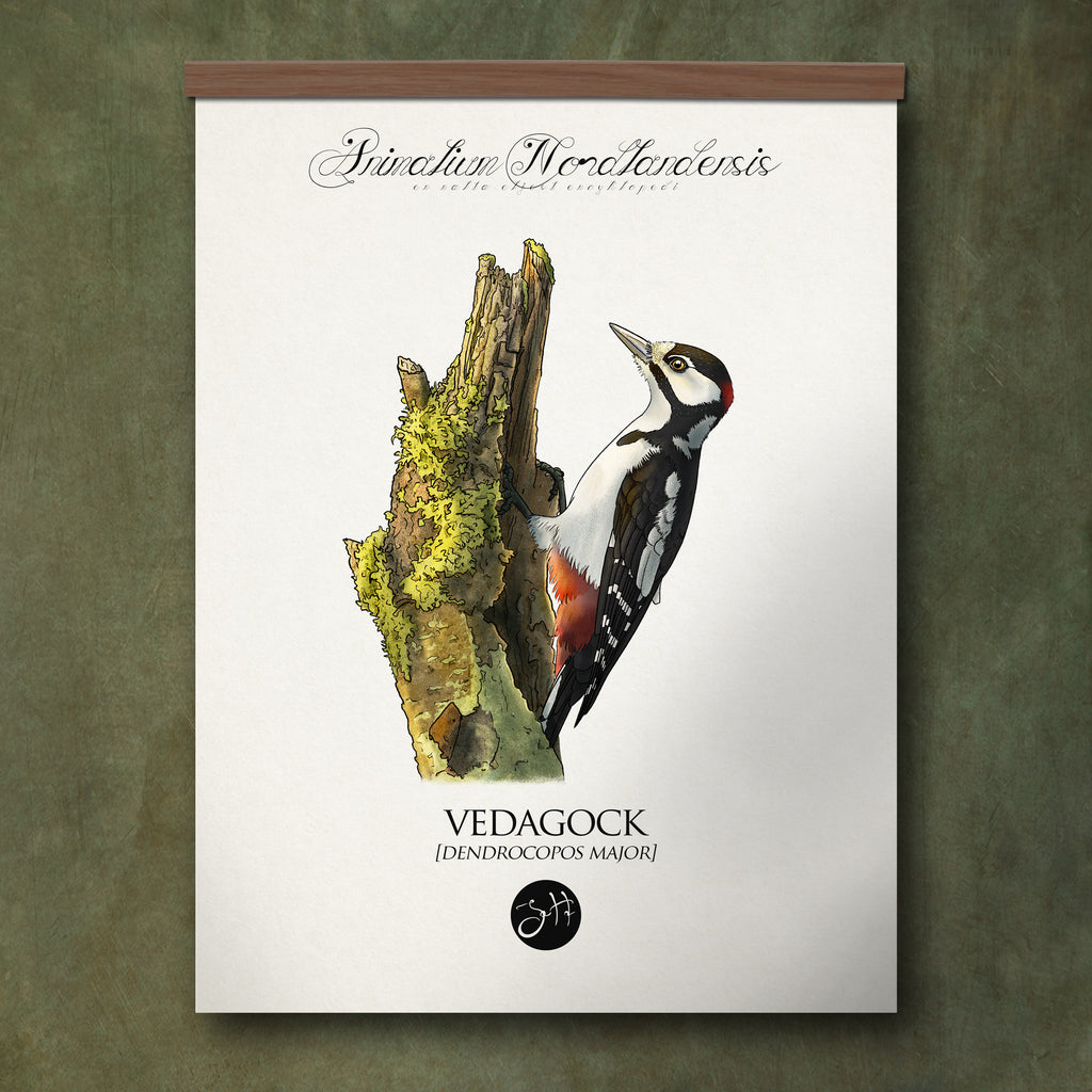 Vedagock