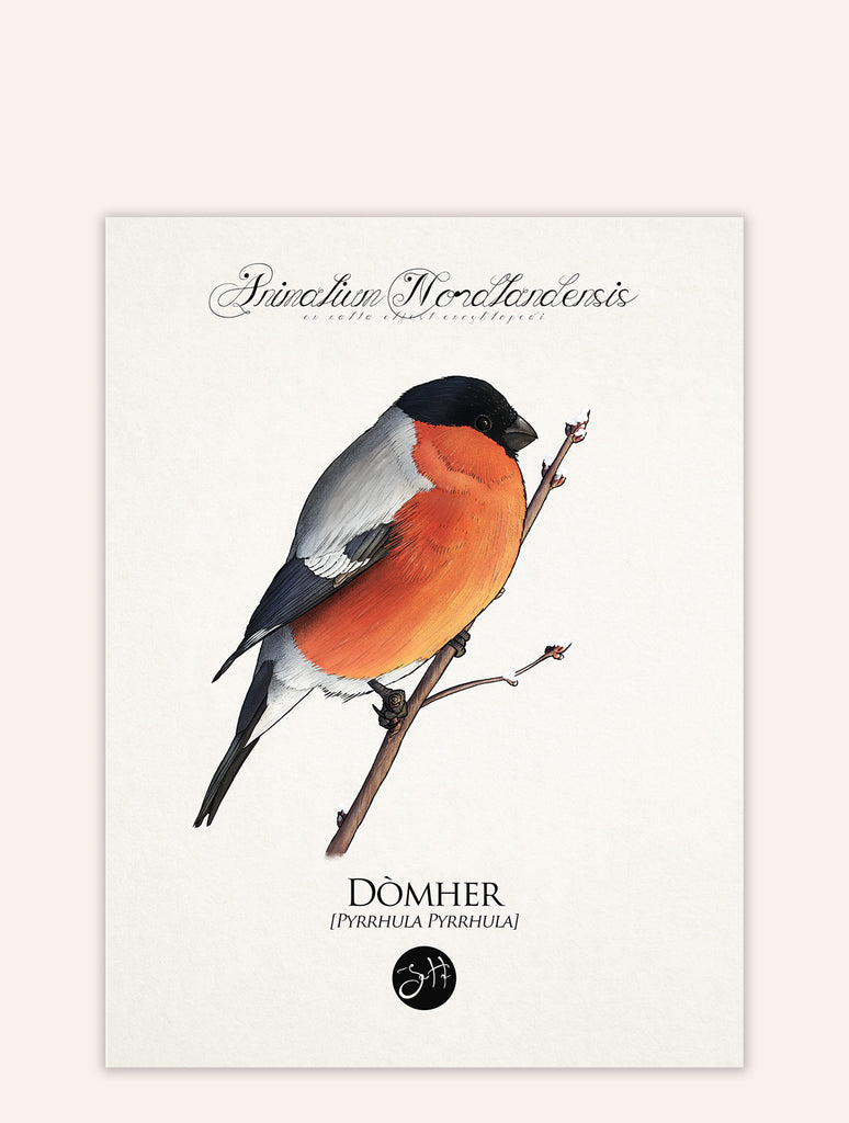 Dòmher