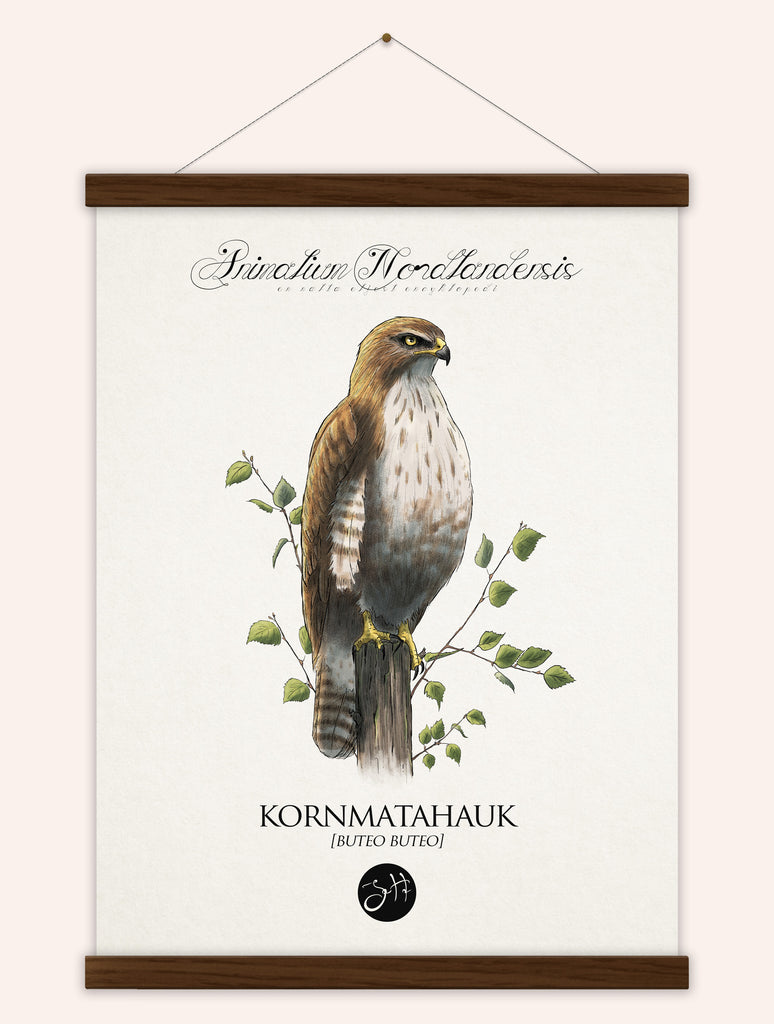 Kornmatahauk