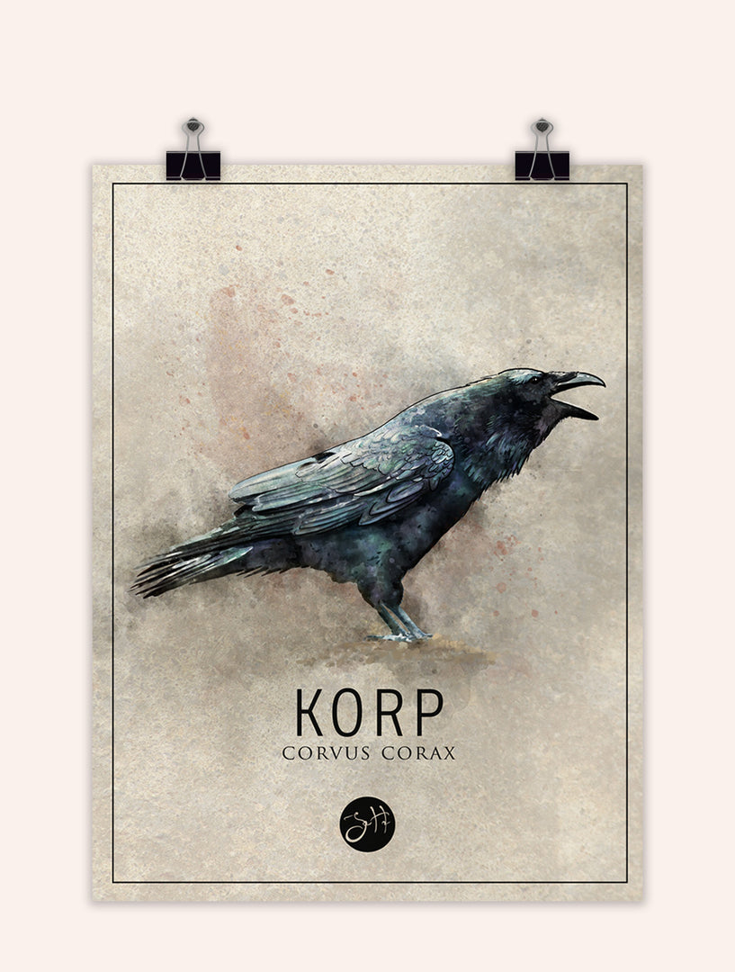 Korp – Art by Joel Hultdin